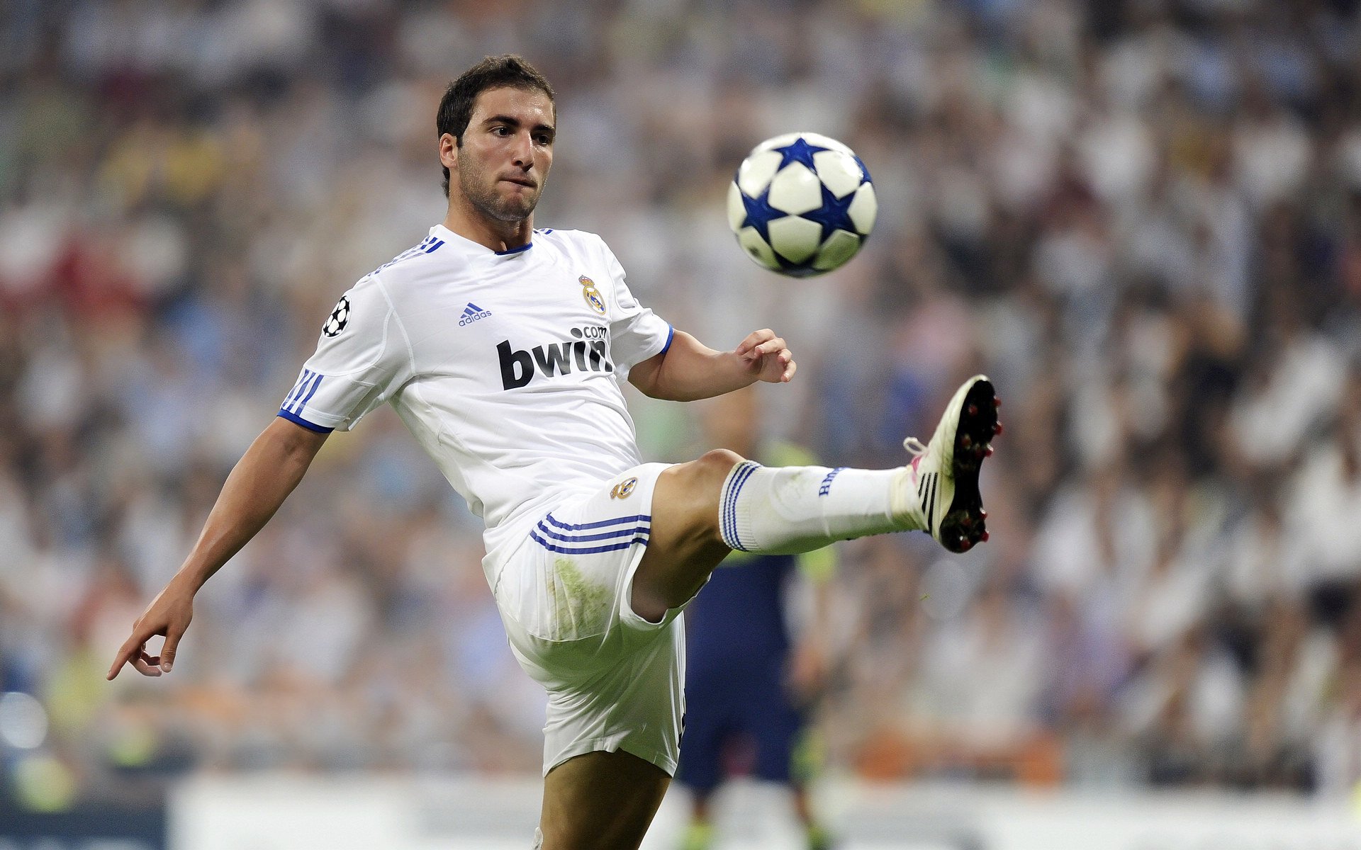 国家队核心位置缺乏长期培养计划,国家队核心竞争力